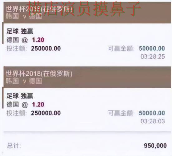 世界杯买球平台实测对比合集：覆盖官网直达与入口方式 - 世界杯直播
